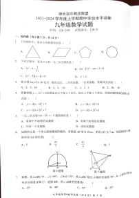 2023-2024届湖北初中教改联盟九年级数学期中考试试卷（附答案）