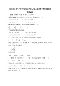 2023-2024学年广东省河源市连平县九年级上学期期中数学质量检测模拟试题（含解析）