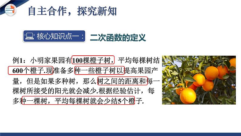 2.1 二次函数（课件+教学设计）-北师大版数学九年级下册04