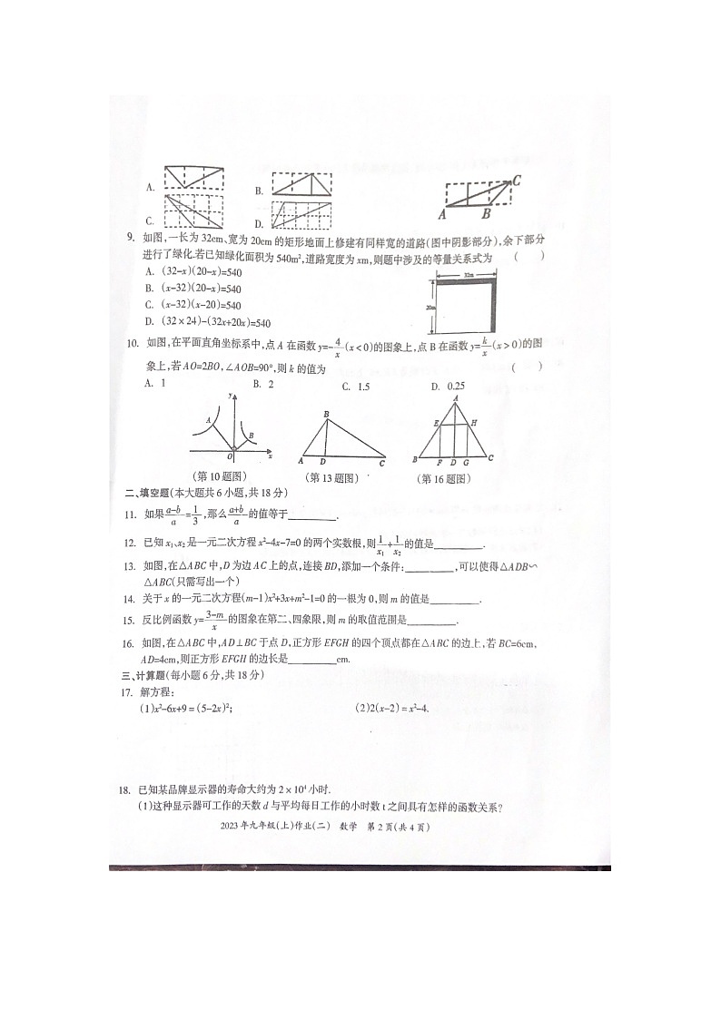 湖南省娄底市娄星区2023-2024学年九年级上学期11月期中考试数学试题02