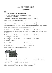 广西壮族自治区河池市宜州区2023-2024学年七年级上学期期中数学试题