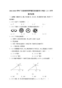 广东省深圳市罗湖区多校联考2022-2023学年八年级上学期开学考试数学试卷(含解析)