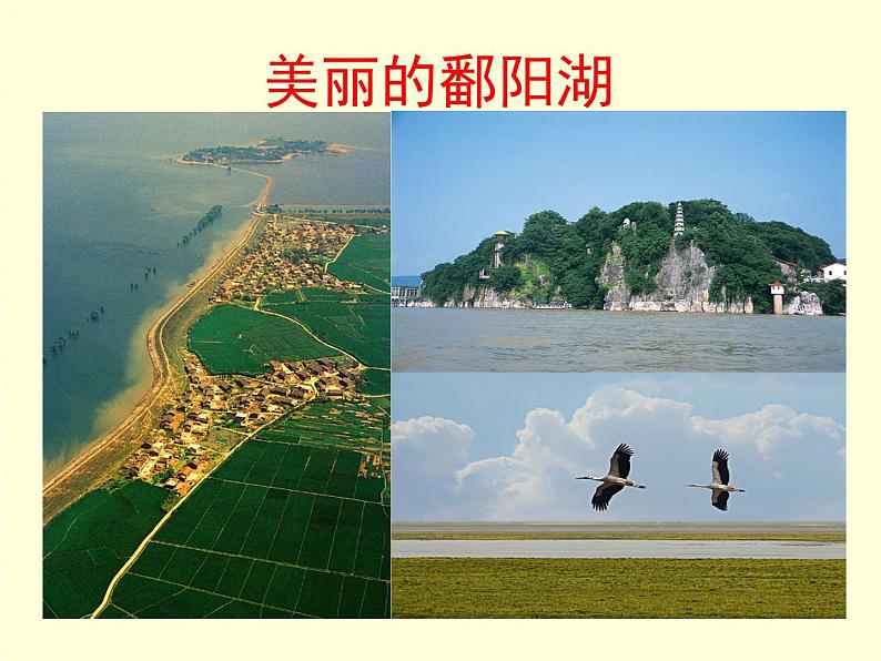 6.1 数据的收集 北师版数学上册七年级课件第3页