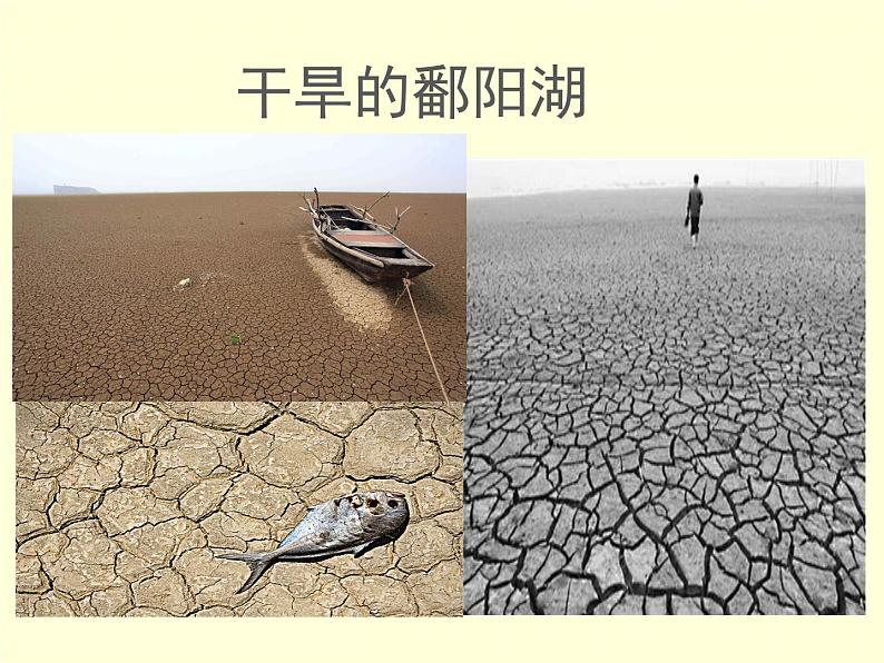 6.1 数据的收集 北师版数学上册七年级课件第4页
