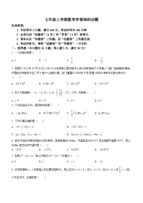 安徽省合肥市合肥经济技术开发区部分学校2023-2024学年七年级上学期期中数学试题