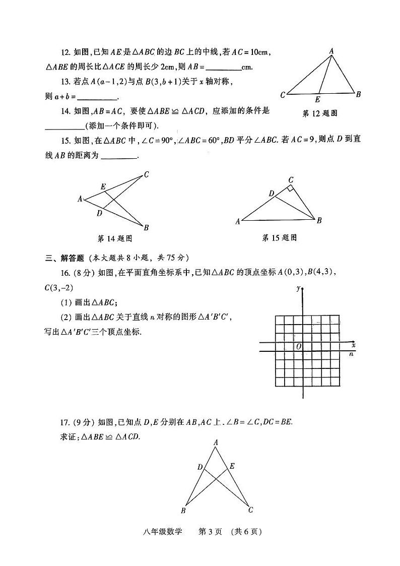 河南省濮阳市2023-2024学年八年级上学期11月期中数学试题第3页