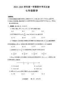 河南省濮阳市2023-2024学年七年级上学期11月期中数学试题