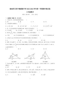 2023-2024-1湖南师大附中梅溪湖八上期中考试数学试卷