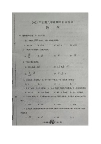 河南省南阳市南召县2023-2024学年九年级上学期11月期中数学试题