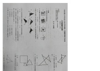 河北省廊坊市三河市第九中学2023-2024学年八年级上学期11月期中数学试题