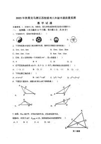 四川省泸州市龙马潭区四校联考2023-2024学年八年级上学期11月期中数学试题