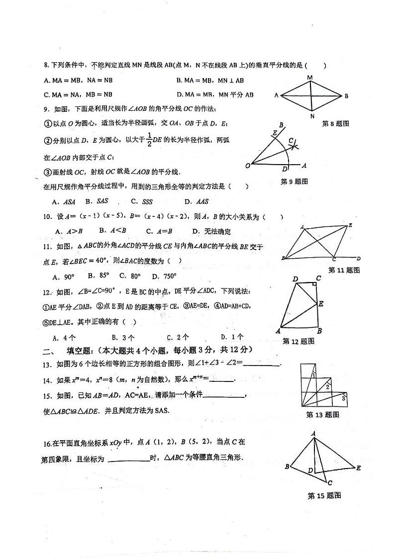 四川省泸州市龙马潭区四校联考2023-2024学年八年级上学期11月期中数学试题02