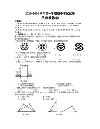 河南省濮阳市清丰县2023-2024学年八年级上学期11月期中数学试题