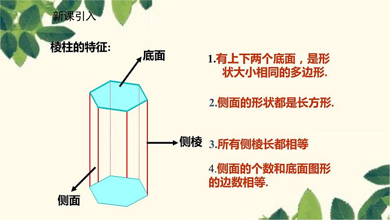 北师大版数学七年级上册 1.2.2柱体与锥体的展开与折叠课件第5页