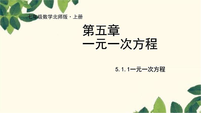 北师大版数学七年级上册 5.1.1一元一次方程课件01