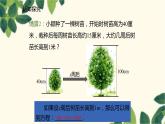 北师大版数学七年级上册 5.1.1一元一次方程课件