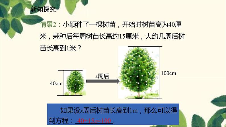 北师大版数学七年级上册 5.1.1一元一次方程课件05