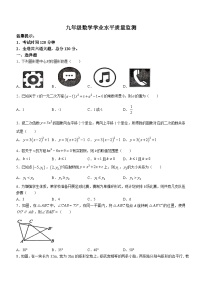 黑龙江省双鸭山市集贤县2023-2024学年九年级上学期期中数学试题(无答案)