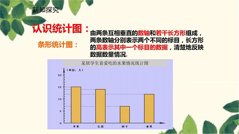 北师大版数学七年级上册 6.3.2频数直方图课件05