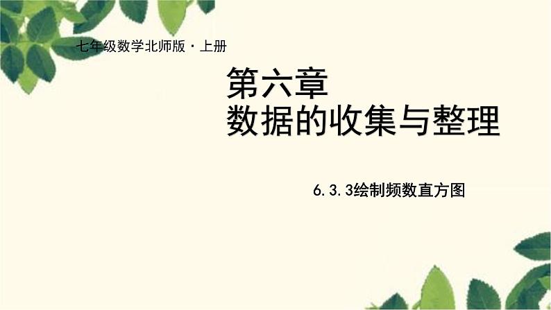 北师大版数学七年级上册 6.3.3绘制频数直方图课件01