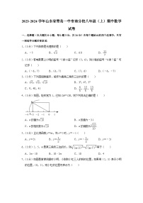 山东省青岛一中市南分校2023-2024学年八年级上学期期中数学试卷