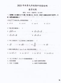 福建省泉州市晋江市五校联考2023-2024学年九年级上学期11月期中数学试题