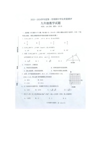 山东省菏泽市成武县2023-2024学年九年级上学期11月期中数学试题