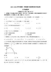 安徽省芜湖市2023-2024学年九年级上学期期中数学试题