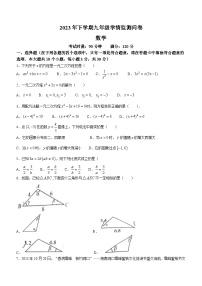 湖南省邵阳市洞口县2023-2024学年九年级上学期期中数学试题(无答案)