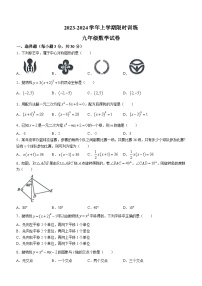 广东省中山市小榄镇2023-2024年九年级上学期期中数学试题