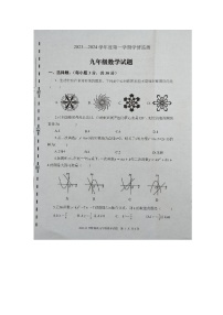 山东省济宁市金乡县2023—2024学年上学期九年级数学期中试题