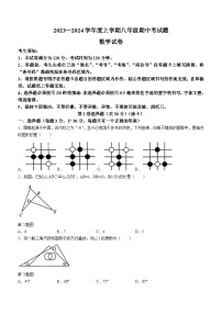 黑龙江省哈尔滨市巴彦县华山乡中学2023-2024学年八年级上学期期中数学试题