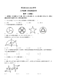 河北省衡水市景县第二中学2023-2024学年九年级上学期期中数学试题