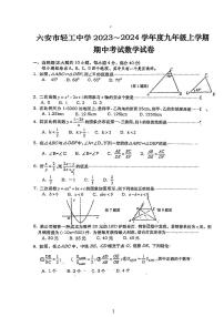 安徽省六安市金安区六安市轻工中学2023-2024学年九年级上学期11月期中数学试题