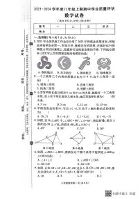 河南省漯河市召陵区2023-2024学年八年级上学期11月期中数学试题