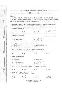 河南省南阳市卧龙区2023—2024学年八年级上学期11月期中数学试题