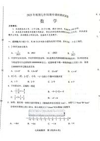 河南省南阳市卧龙区2023-2024学年七年级上学期11月期中数学试题