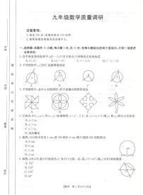 河南省信阳市平桥区2023-—2024学年九年级上学期11月期中数学试题