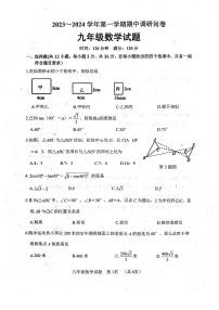 山东省聊城市东阿县2023-—2024学年九年级上学期11月期中数学试题