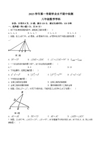 广东省广州市第三中学教育集团2023-2024学年八年级上学期期中数学试题