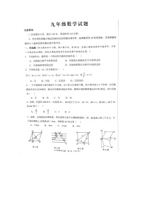 山东省菏泽市牡丹区2023-2024学年九年级上学期11月期中数学试题