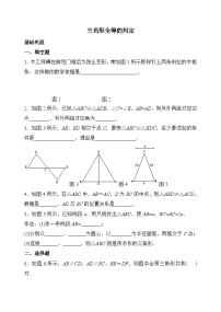 数学八年级上册12.2 三角形全等的判定课时练习