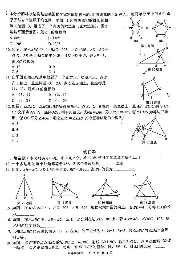广西壮族自治区玉林市玉州区2023-2024学年八年级上学期11月期中数学试题02