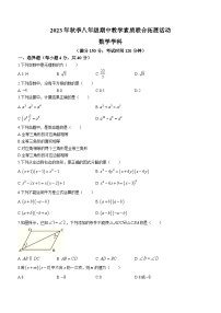 福建省泉州市泉港区2023-2024学年八年级上学期期中数学试题