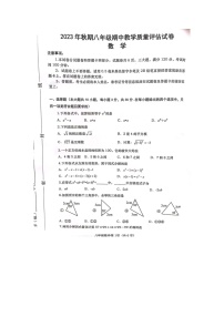 河南省南阳市社旗县2023-2024学年八年级上学期11月期中数学试题