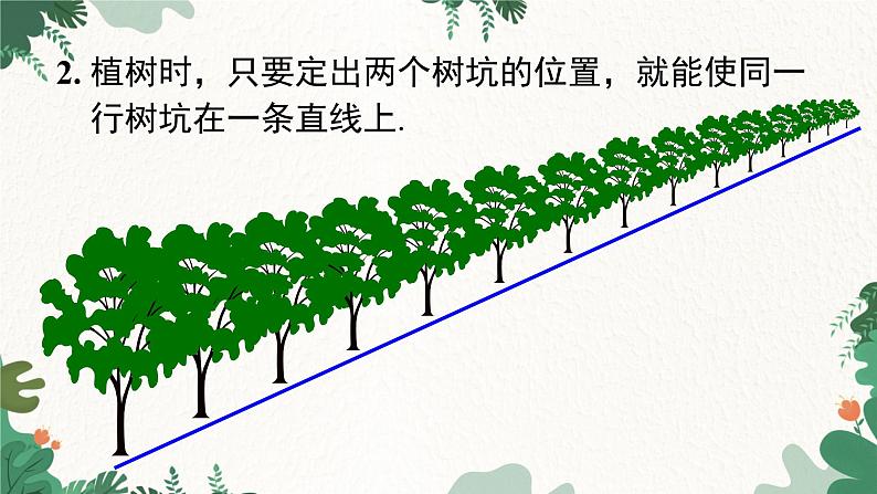 人教版数学七年级上册 4.2 第1课时 直线、射线、线段课件第6页