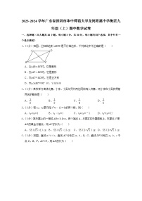 广东省深圳市华中师范大学龙岗附属中学集团2023-2024学年九年级上学期期中数学试卷