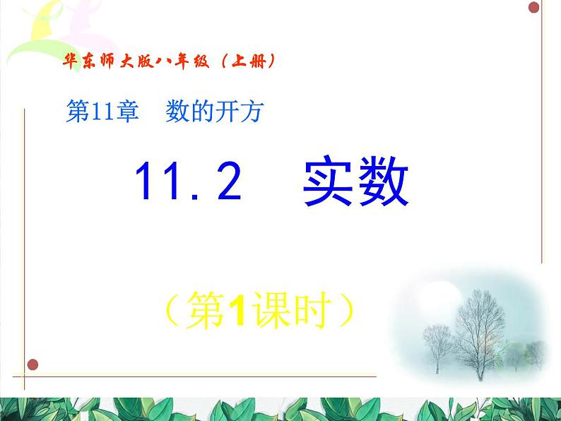 华师大版数学八年级上册 11.2实数（第1课时）课件01