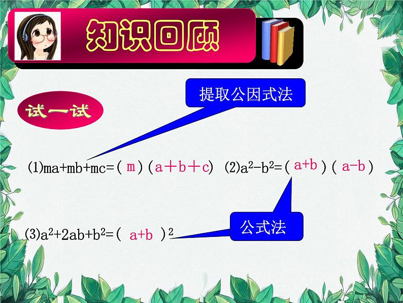 华师大版数学八年级上册 12.5因式分解课件05