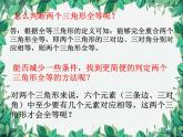 华师大版数学八年级上册 13.2.1全等三角形的判定条件课件